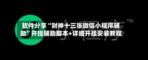 软件分享“财神十三张微信小程序辅助”开挂辅助脚本+详细开挂安装教程-第3张图片