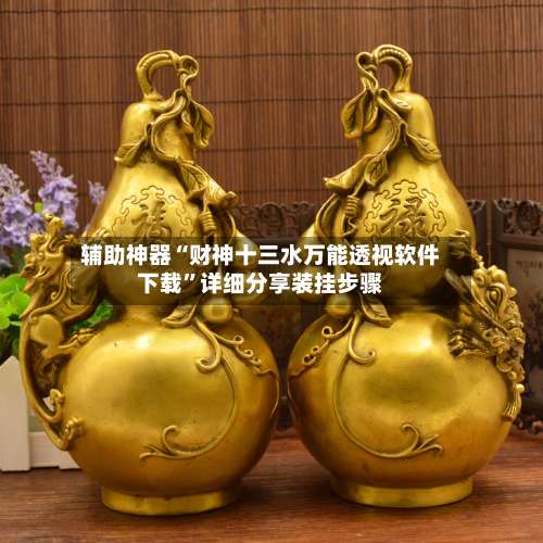 辅助神器“财神十三水万能透视软件下载	”详细分享装挂步骤-第3张图片