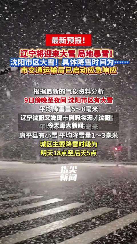 辽宁沈阳又发现一例吗今天/沈阳今天重大新闻-第3张图片