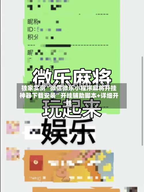 独家实测“微信微乐小程序麻将开挂神器下载安装	”开挂辅助脚本+详细开挂-第1张图片