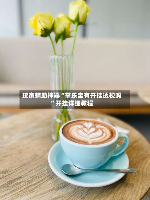 玩家辅助神器“掌乐宝有开挂透视吗	”开挂详细教程-第1张图片