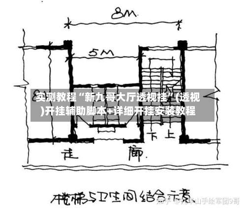 实测教程“新九哥大厅透视挂”(透视)开挂辅助脚本+详细开挂安装教程-第3张图片