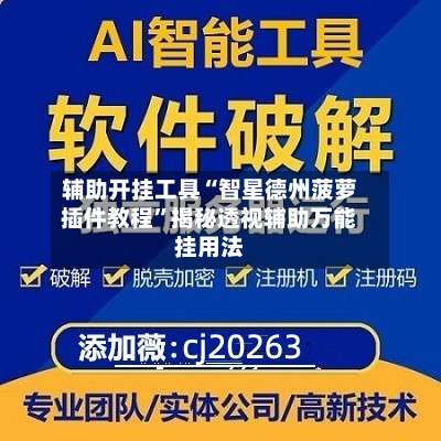 辅助开挂工具“智星德州菠萝插件教程”揭秘透视辅助万能挂用法-第1张图片