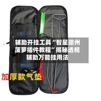 辅助开挂工具“智星德州菠萝插件教程”揭秘透视辅助万能挂用法-第3张图片