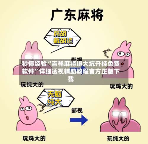 秒懂经验“吉祥麻将填大坑开挂免费软件”详细透视辅助教程官方正版下载-第1张图片