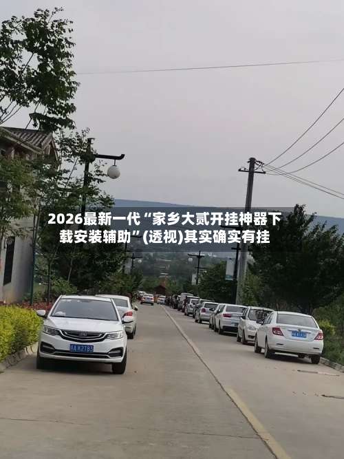 2026最新一代“家乡大贰开挂神器下载安装辅助”(透视)其实确实有挂-第3张图片