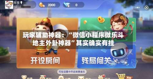 玩家辅助神器：“微信小程序微乐斗地主外卦神器	”其实确实有挂-第2张图片