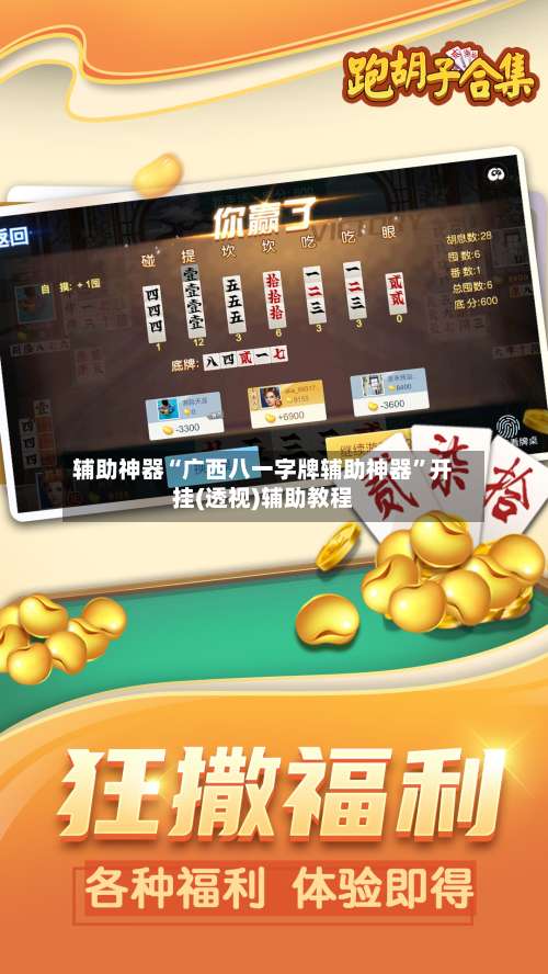 辅助神器“广西八一字牌辅助神器	”开挂(透视)辅助教程-第2张图片