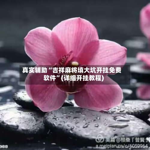 真实辅助“吉祥麻将填大坑开挂免费软件”(详细开挂教程)-第1张图片