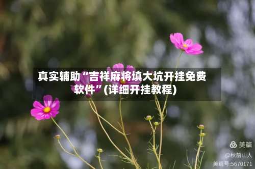 真实辅助“吉祥麻将填大坑开挂免费软件	”(详细开挂教程)-第3张图片