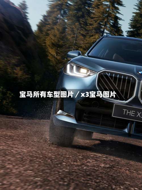 宝马所有车型图片/x3宝马图片-第2张图片