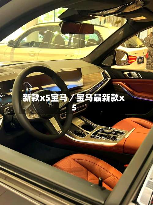 新款x5宝马/宝马最新款x5-第1张图片