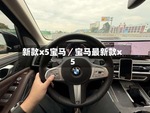 新款x5宝马/宝马最新款x5-第2张图片