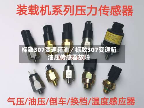 标致307变速箱油/标致307变速箱油压传感器故障-第2张图片