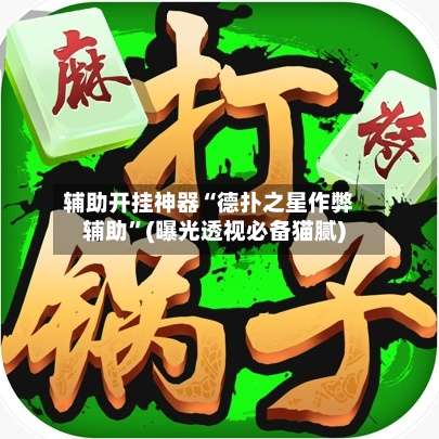 辅助开挂神器“德扑之星作弊辅助”(曝光透视必备猫腻)-第2张图片