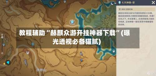 教程辅助“赫麒众游开挂神器下载”(曝光透视必备猫腻)-第2张图片