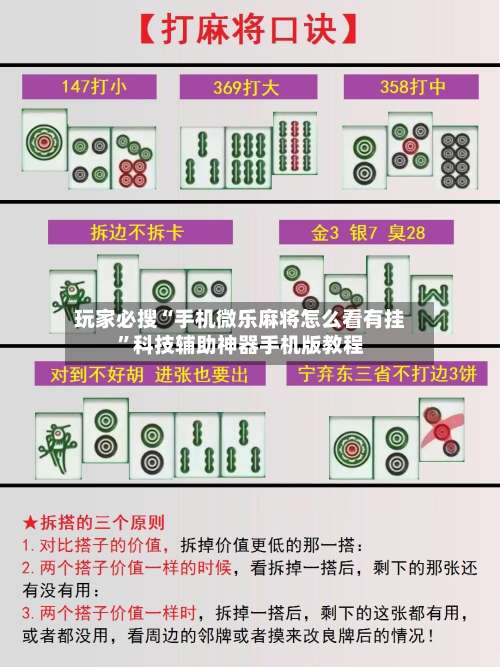 玩家必搜“手机微乐麻将怎么看有挂”科技辅助神器手机版教程-第2张图片