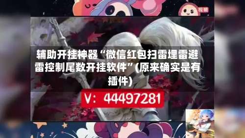辅助开挂神器“微信红包扫雷埋雷避雷控制尾数开挂软件	”(原来确实是有插件)-第1张图片