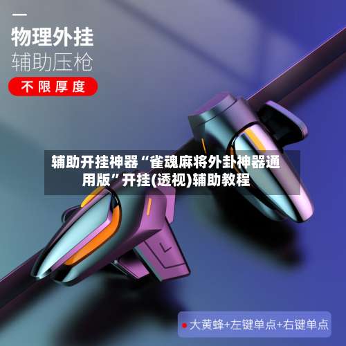 辅助开挂神器“雀魂麻将外卦神器通用版”开挂(透视)辅助教程-第2张图片