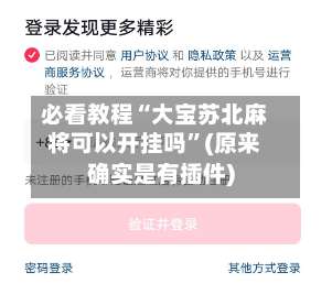 必看教程“大宝苏北麻将可以开挂吗	”(原来确实是有插件)-第2张图片