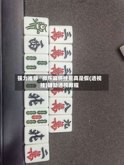 强力推荐“微乐麻将挂是真是假(透视挂)辅助透视教程-第1张图片