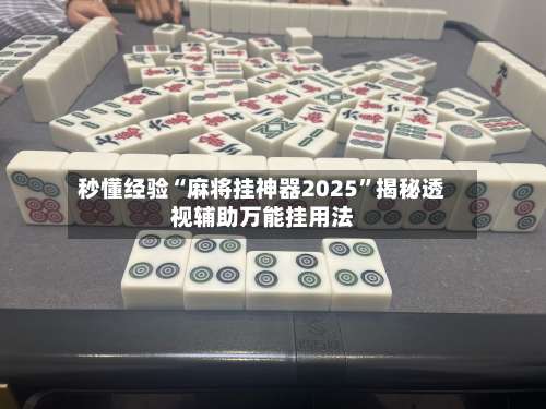 秒懂经验“麻将挂神器2025	”揭秘透视辅助万能挂用法-第2张图片
