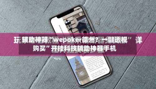 辅助神器“wepoker德州？一键透视购买”开挂科技辅助神器手机-第3张图片