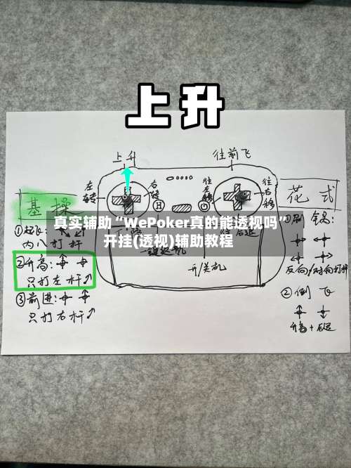 真实辅助“WePoker真的能透视吗”开挂(透视)辅助教程-第1张图片
