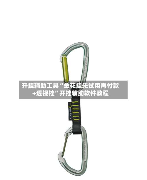 开挂辅助工具“金花挂先试用再付款+透视挂”开挂辅助软件教程-第1张图片