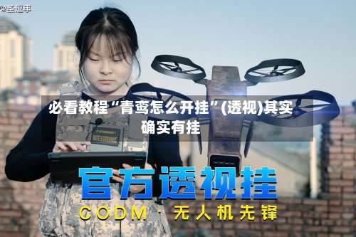 必看教程“青鸾怎么开挂”(透视)其实确实有挂-第1张图片