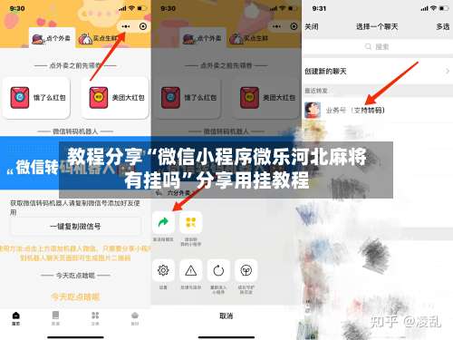 教程分享“微信小程序微乐河北麻将有挂吗”分享用挂教程-第3张图片