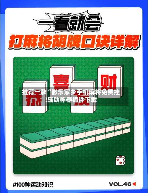 推荐一款“微乐家乡手机麻将免费挂!辅助神器插件下载-第3张图片