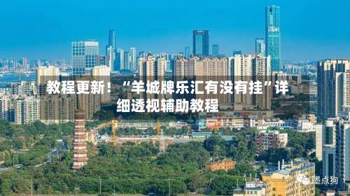 教程更新！“羊城牌乐汇有没有挂”详细透视辅助教程-第2张图片