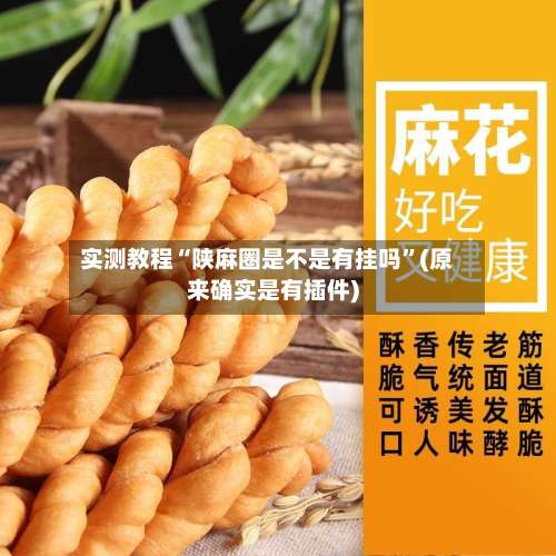 实测教程“陕麻圈是不是有挂吗”(原来确实是有插件)-第1张图片