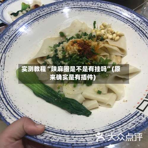 实测教程“陕麻圈是不是有挂吗	”(原来确实是有插件)-第2张图片