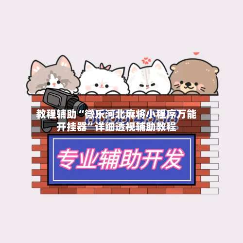 教程辅助“微乐河北麻将小程序万能开挂器”详细透视辅助教程-第1张图片