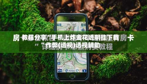 教程分享“手机上炸金花透明挂下载”作弊(透视)透视辅助-第1张图片