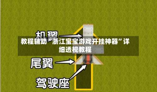 教程辅助“浙江宝宝游戏开挂神器”详细透视教程-第3张图片