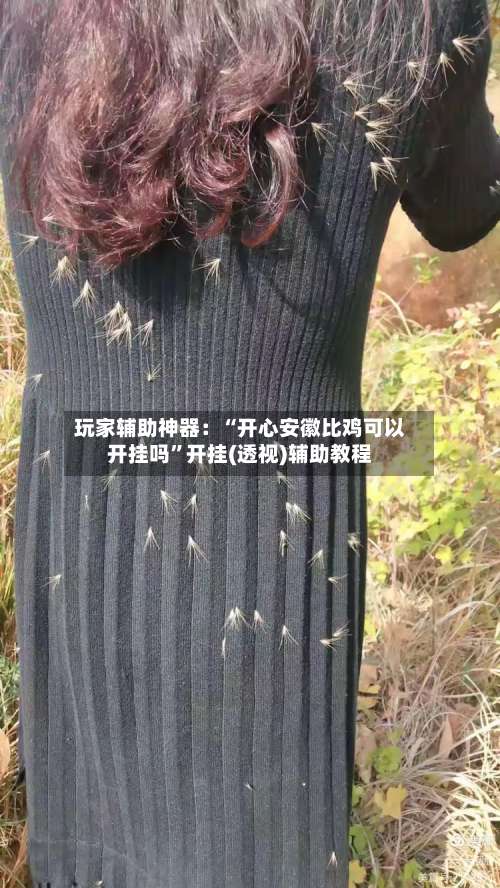 玩家辅助神器：“开心安徽比鸡可以开挂吗	”开挂(透视)辅助教程-第1张图片