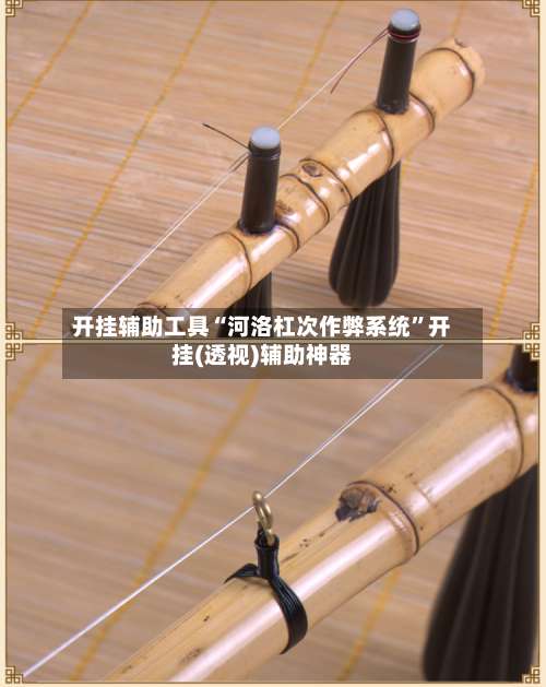 开挂辅助工具“河洛杠次作弊系统	”开挂(透视)辅助神器-第1张图片