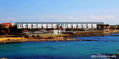 山东青岛疫情动态/山东青岛役情情况?-第2张图片