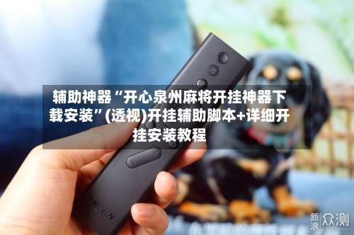 辅助神器“开心泉州麻将开挂神器下载安装”(透视)开挂辅助脚本+详细开挂安装教程-第3张图片