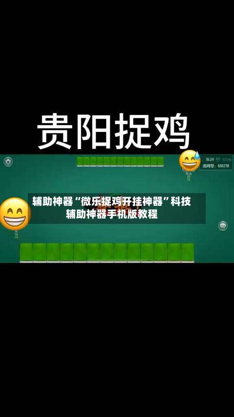 辅助神器“微乐捉鸡开挂神器”科技辅助神器手机版教程-第3张图片