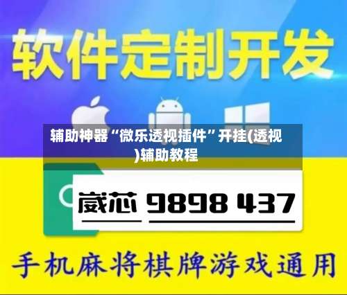 辅助神器“微乐透视插件”开挂(透视)辅助教程-第1张图片