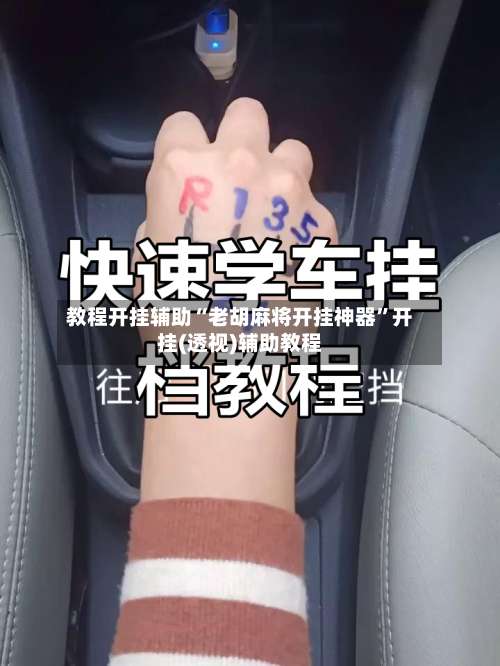 教程开挂辅助“老胡麻将开挂神器”开挂(透视)辅助教程-第1张图片