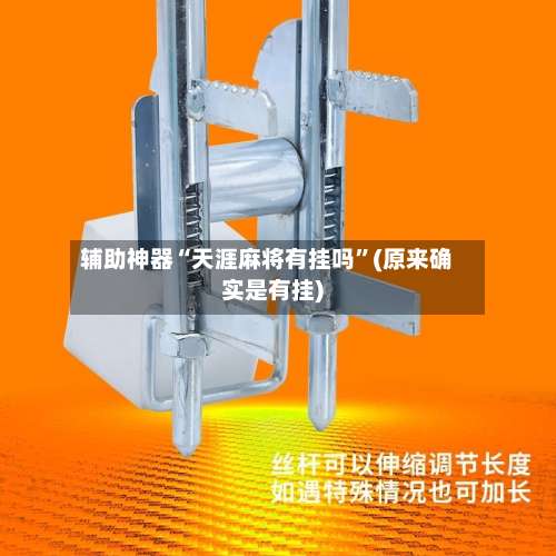 辅助神器“天涯麻将有挂吗”(原来确实是有挂)-第3张图片