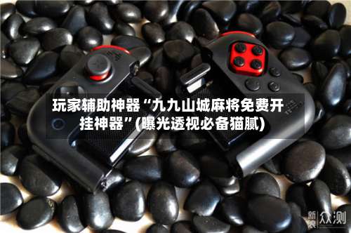 玩家辅助神器“九九山城麻将免费开挂神器”(曝光透视必备猫腻)-第1张图片