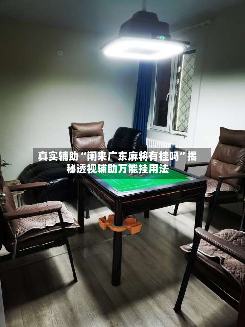 真实辅助“闲来广东麻将有挂吗”揭秘透视辅助万能挂用法-第1张图片