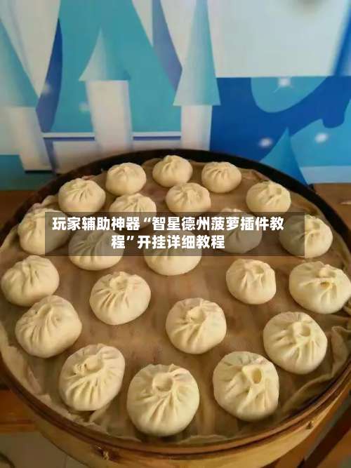 玩家辅助神器“智星德州菠萝插件教程	”开挂详细教程-第1张图片