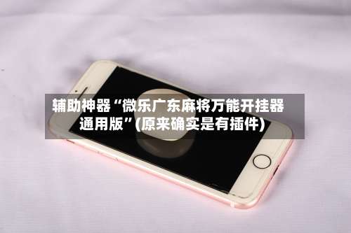 辅助神器“微乐广东麻将万能开挂器通用版	”(原来确实是有插件)-第2张图片